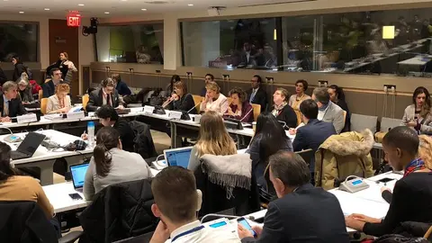 La Fundación CERMI Mujeres aborda en la sede de la ONU en Nueva York las principales reivindicaciones de las mujeres con discapacidad en el mundo rural