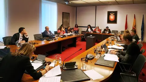 CERMIN presenta en el Parlamento un decálogo para la mejora de la atención de las mujeres con discapacidad víctimas de violencia de género