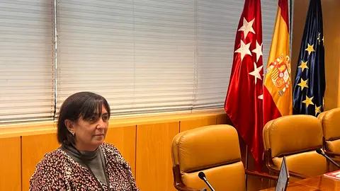 Comparecencia de Mayte Gallego