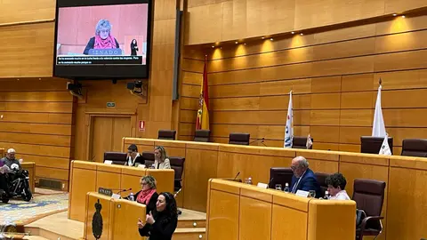 Sesiones Parlemento Mujeres con Discapacidad