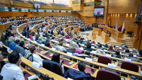 Fotografía de la sala del hemiciclo del Senado durante el Parlamento de las Mujeres con Discapacidad