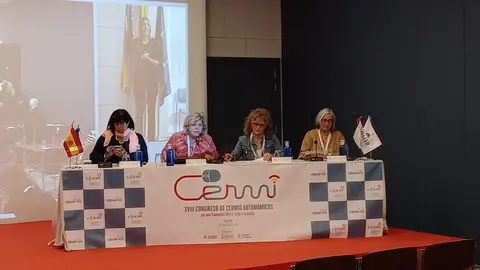 Imagen de la mesa durante el congreso de CERMIs Autonómicos