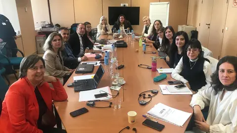 IMAGEN DE LA REUNIÓN