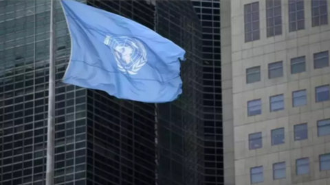 Imagen de la bandera de las Naciones Unidas.