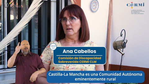 Infografía de Ana Cabellos. Aparece el logotipo de CERMI y el ILSE.