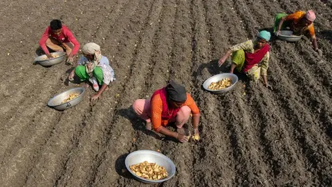 La FAO alerta de que el cambio climático afecta de forma "desproporcionada" a los ingresos de las mujeres rurales