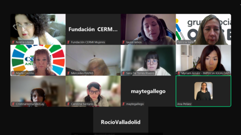 Imagen de la reunión virtual del Consejo de Participación de la Fundación CERMI Mujeres