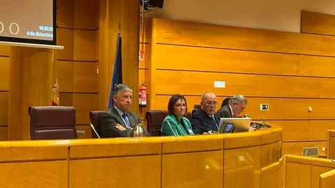 Imagen de Pilar Villarino en la comparecencia del senado el pasado 4 de diciembre de 2025
