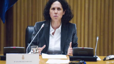 Ana Pel&aacute;ez, durante otra intervenci&oacute;n en el Parlamento, en la Conferencia sectorial de mujeres con discapacidad | Foto de Jorge Villa