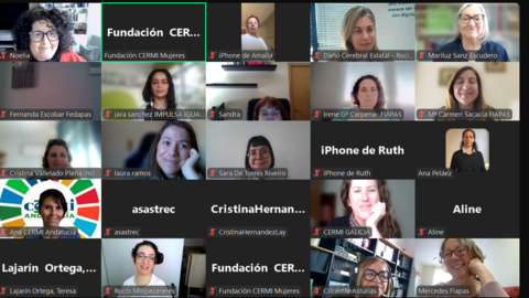 Imagen de la reuni&oacute;n del Consejo de Participaci&oacute;n de Fundaci&oacute;n CERMI Mujeres
