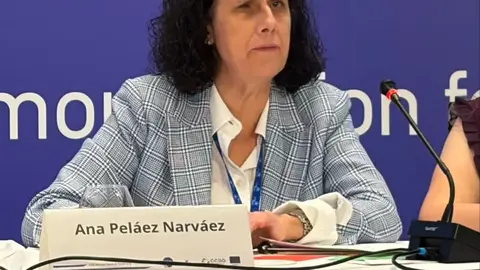 IMAGEN ANA PEL&Aacute;EZ