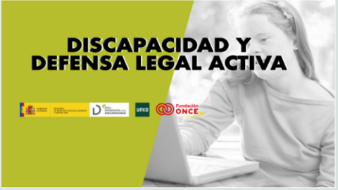 Infograf&iacute;a Discapacidad legal y activa