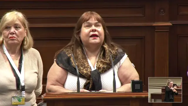 Imagen de Sandra Santana en el Parlamento