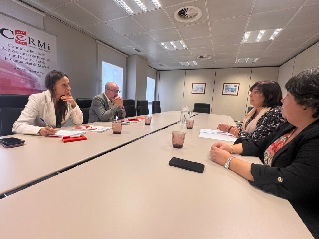 Imagen del encuentro de CERMI Madrid con la delegación del gobierno y la jefa de unidad contra la violencia sobre la mujer