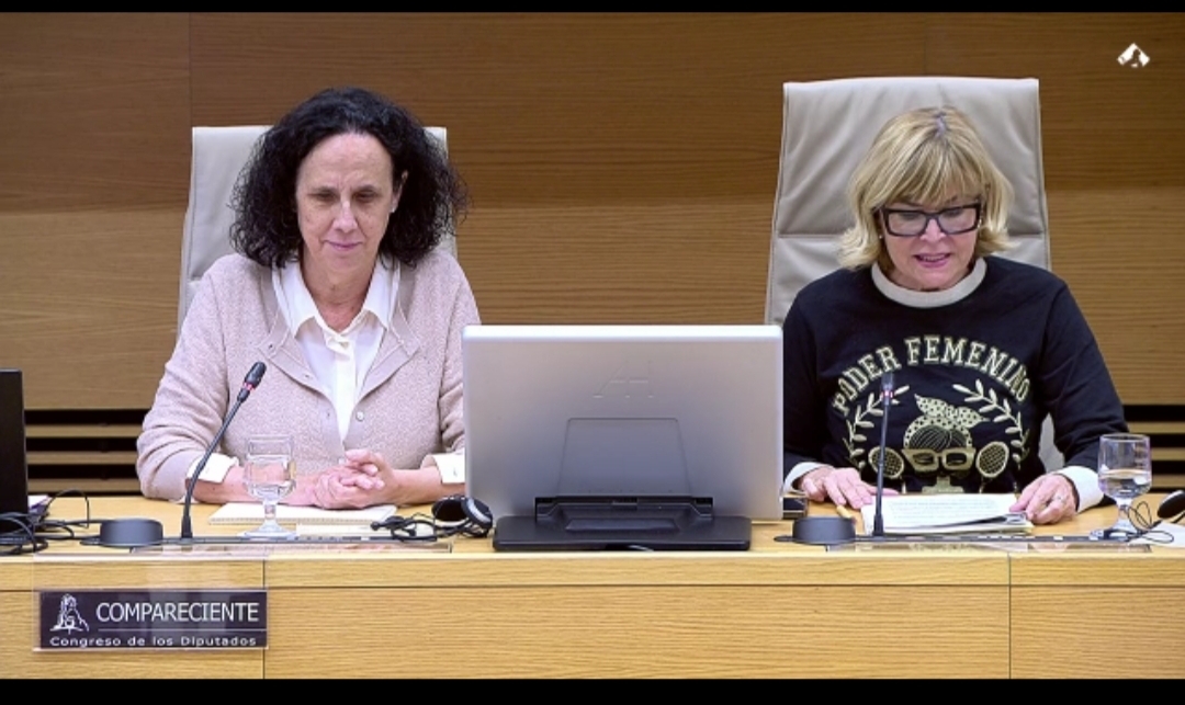 Imagen de Ana Peláez en el Congreso durante la Comparecencia